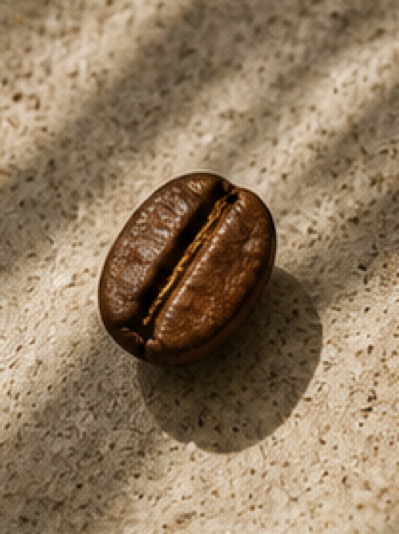 Single roasted coffee bean