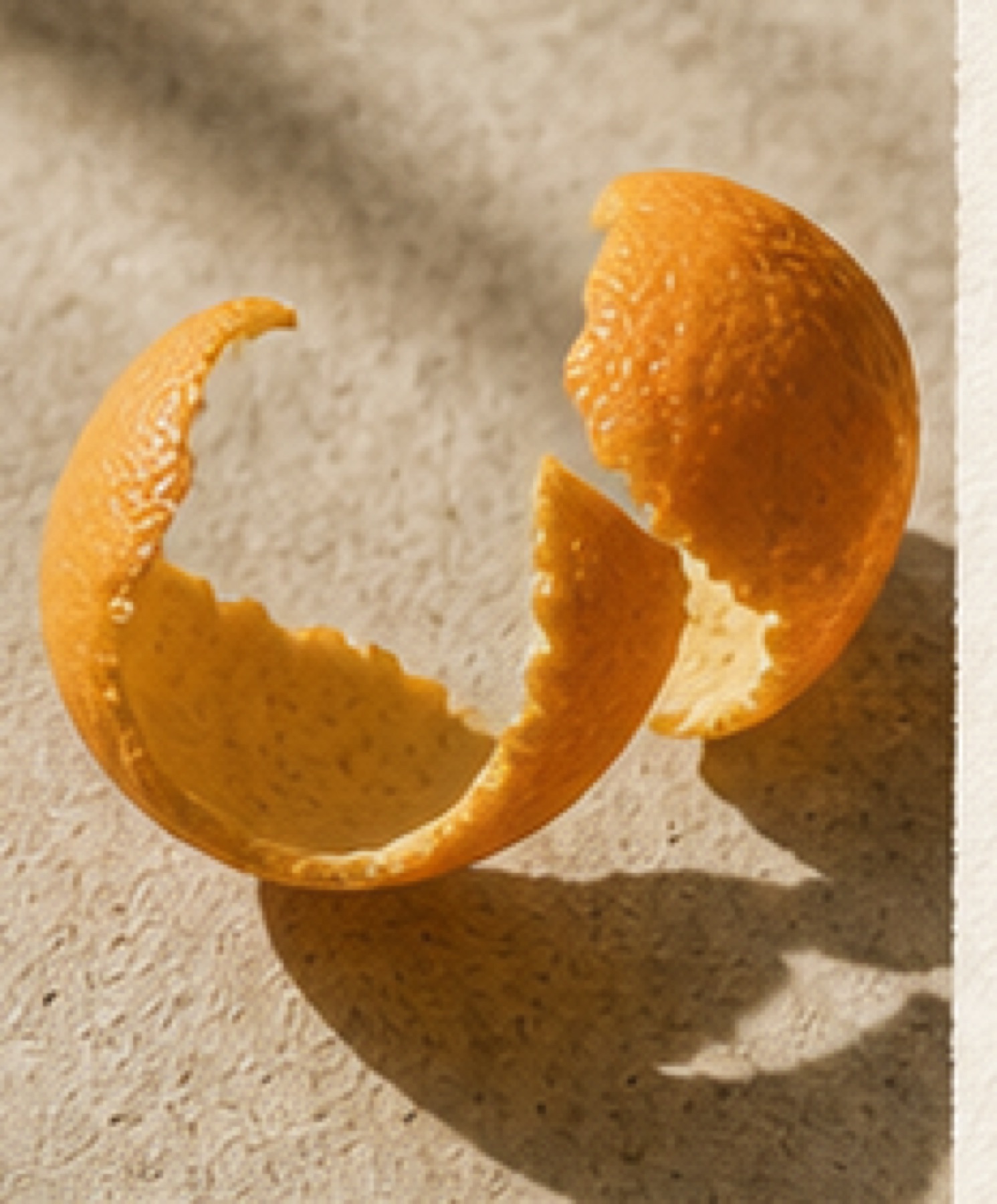 Curl of orange peel on stone